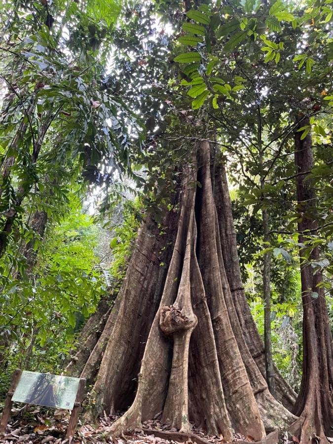Hunny Home Ko Yao Noi Bagian luar foto